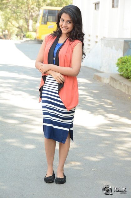 Arthana-Binu-at-Seethamma-Andaalu-Raamayya-Sithraalu-Success-Meet